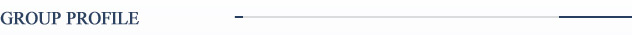 集团简介